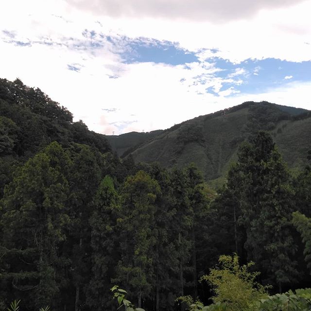 今日は晴れたり曇ったり山の緑が目にしみます⛰️ http://ikadamitake.com営業時間11~17時(夏季)木曜定休(祭日は営業)※むかし鳥、ばくだんは数に限りがございます。１個からお取り置き致します♪Tel.0428-85-8726#炭鳥 #蔵 #筏 #ikada #むかし鳥 #mitake #tokyo #御岳 #御岳山 #御岳山ロックガーデン #武蔵御嶽神社 #多摩川 #御岳渓谷 #御岳ランチ #奥多摩フィッシングセンター #奥多摩 #日原鍾乳洞 #味玉 #バイク #ロードバイク #カヌー #カヤック #リバーSUP #ラフティング #デッドエンド #ペット可
