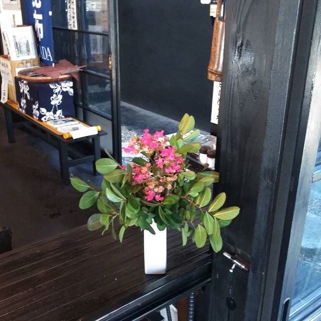 ﻿今朝店主が、 #サルスベリ の枝を剪定しました🌳﻿花が咲く直前のこの時期に剪定して良いかは、？ですが、生い茂り過ぎていたので切ったようです﻿﻿青々としていて捨てるのに名残惜しくって、店内に少し飾ってみました♪﻿﻿※ちなみにうちのサルスベリにはまだ花が咲かないので、お隣さんにお願いして一枝頂きました🤗﻿﻿http://ikadamitake.com﻿営業時間・4月〜12月 11〜17時﻿1月〜3月 11〜16時﻿金曜定休(祭日は営業)﻿﻿※むかし鳥、ばくだんは数に限りがございます。１個からお取り置き致します♪﻿﻿Tel.0428-85-8726﻿﻿#むかし鳥 #体験型 #炭鳥ikada #ばくだん #mitake #御岳 #御嶽駅 #御岳山 #御岳山ロックガーデン #武蔵御嶽神社 #御岳神社 #御岳渓谷 #御岳ランチ #奥多摩フィッシングセンター #奥多摩 #日原鍾乳洞 #奥多摩湖 #バイク #ロードバイク #サイクリング #カヌー #カヤック #ラフティング #riversup #御岳ボルダー #ペット可 #百日紅