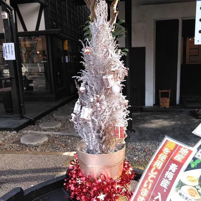 ﻿﻿﻿2年前に @egamin.1228 さんに頂いたコニファーの #クリスマスツリー ﻿﻿ゴメンナサイ、手入れがヘタで枯らしてしまいました﻿﻿﻿﻿でも️今年は店主が銀色のスプレーで #リメイク ﻿﻿﻿﻿#シルバーツリー もなかなか素敵です️﻿﻿﻿﻿入口のご案内テーブルに飾っています﻿﻿雨や雪の時は、下屋のカウンターに飾ります﻿﻿﻿﻿皆さま、ご来店の際はどうぞご覧下さいませ🤗﻿﻿﻿﻿http://ikadamitake.com　﻿﻿営業時間4月から12月 11～17時﻿﻿1月から3月 11～16時﻿﻿金曜定休(祭日は営業)﻿﻿Tel.0428-85-8726﻿﻿#むかし鳥 #体験型 #炭鳥ikada #ばくだん #mitake #御岳 #御岳山 #御岳山ロックガーデン #武蔵御嶽神社  #御岳渓谷 #御岳ランチ #奥多摩 #イマタマ #バイク #ロードバイク #カヌー #カヤック #リバーSUP #ラフティング #御岳ボルダー #ペット可