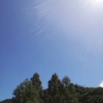 低気圧の翌日の高気圧、今日は空気が乾燥して爽やかな晴天の御岳です️ http://ikadamitake.com　営業時間11～17時(夏季)木曜定休(祭日は営業)※むかし鳥、ばくだんは数に限りがございます。1個からお取り置き致します♪Tel.0428-85-8726#炭鳥 #蔵 #筏 #ikada #むかし鳥 #mitake #tokyo #御岳 #御岳山 #御岳山ロックガーデン #武蔵御嶽神社 #多摩川 #御岳渓谷 #ランチ #奥多摩フィッシングセンター #奥多摩 #日原鍾乳洞 #味玉 #ロードバイク #カヌー #カヤック #リバーSUP #ラフティング #デッドエンド #ペット可